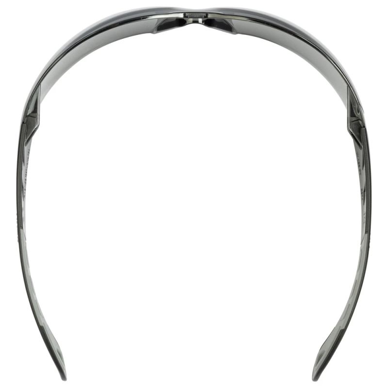 Kaitseprillid UVEX PHEOS, hall