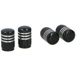 Auto ventīļu micīte 4gb