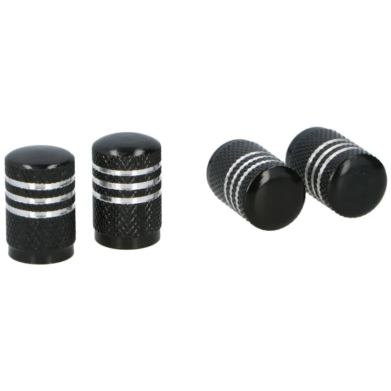 Auto ventīļu micīte 4gb