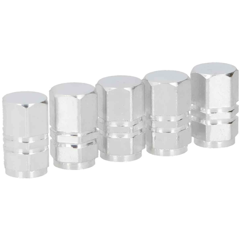 Micīte ventīļu sudraba 4gb