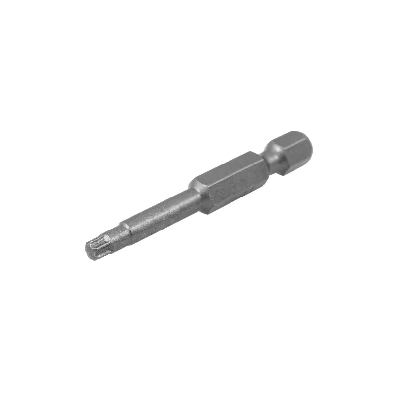 SPECIALIST+ uzgalis TORX GRIP T20, 50 mm, 2 gab.