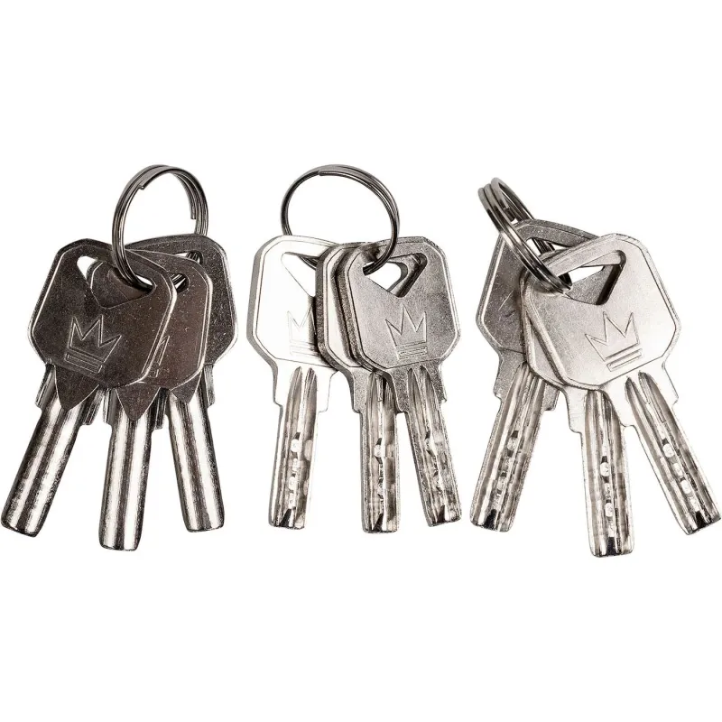 Set of 3 padlocks 50 mm opened by 1 key