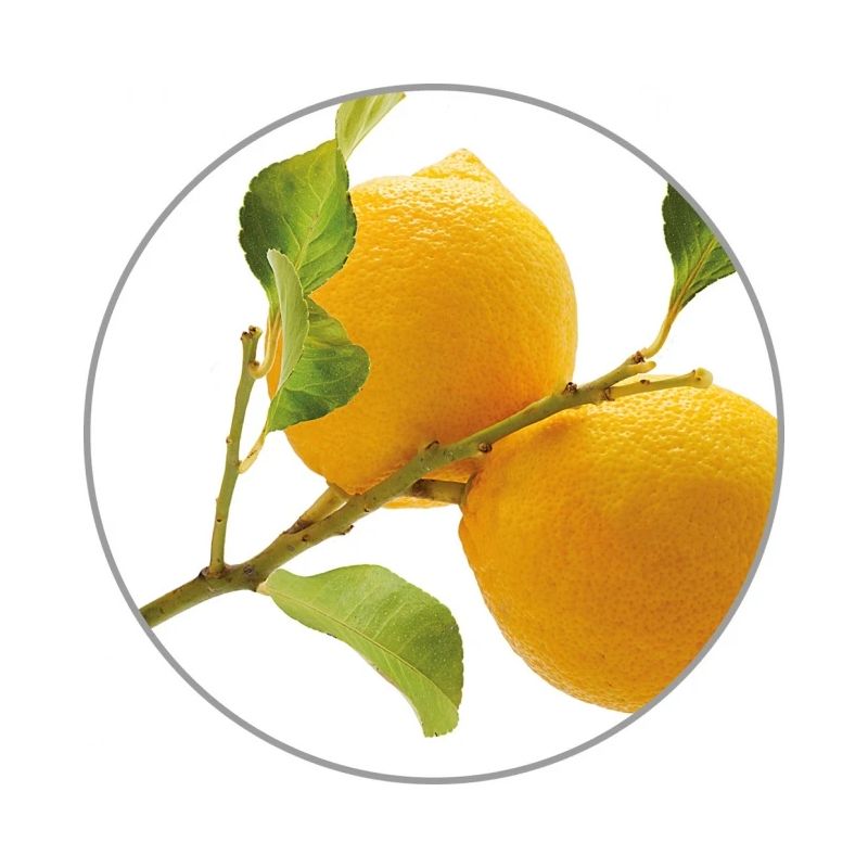 Medisana Aroma essence Lemon