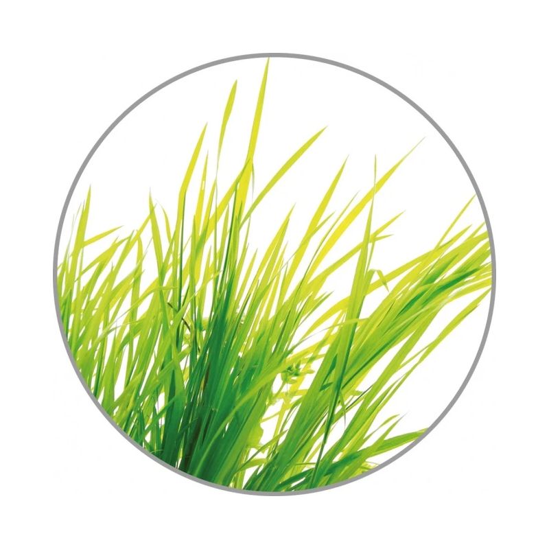 Medisana Aroma essence Citronella