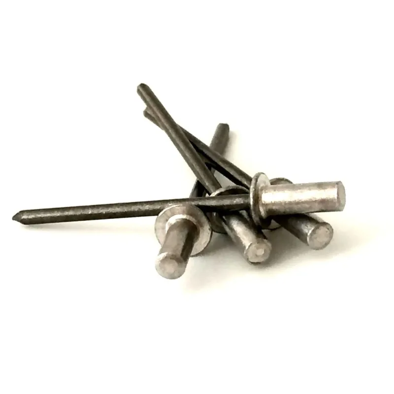 Ūdensnecaurlaidīgas kniedes 416mm,50gab