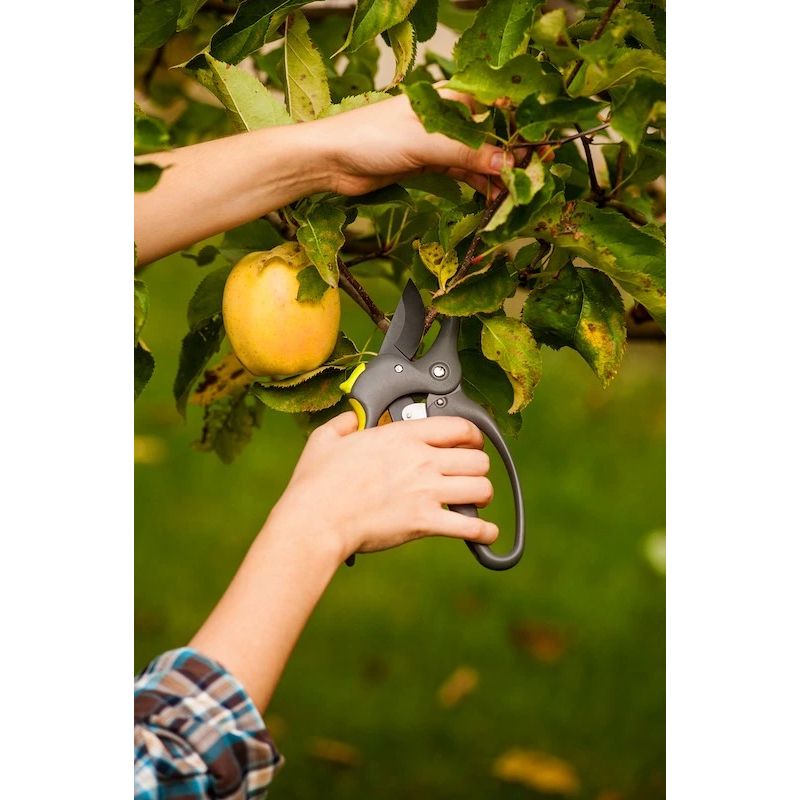 Šķēres zaru griešanai ar sprūdrata mehānismuCrazy 200 mm, maks. 30 mm.