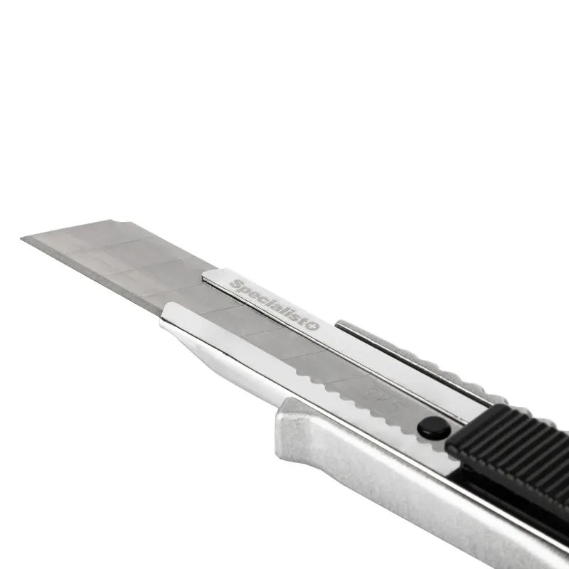 SPECIALIST+ nolaužams asmens BASIC, 10 gab.