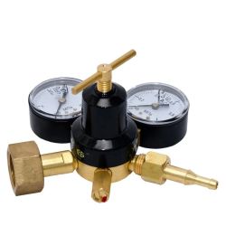 Carbon dioxide regulator