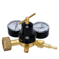 Carbon dioxide regulator