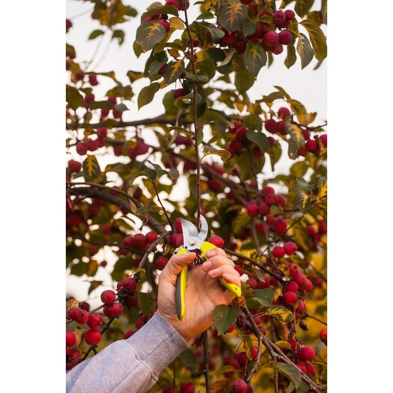 Dārza šķēres Sexy 200 mm, maks. 20 mm.