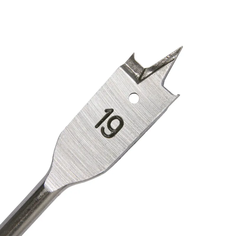 SPECIALIST+ spalvu urbis, 19 mm