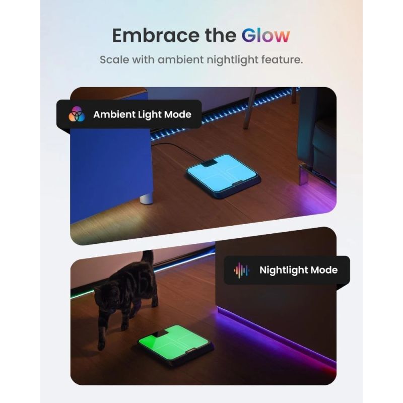 RENPHO Elis Chroma Smart Scale