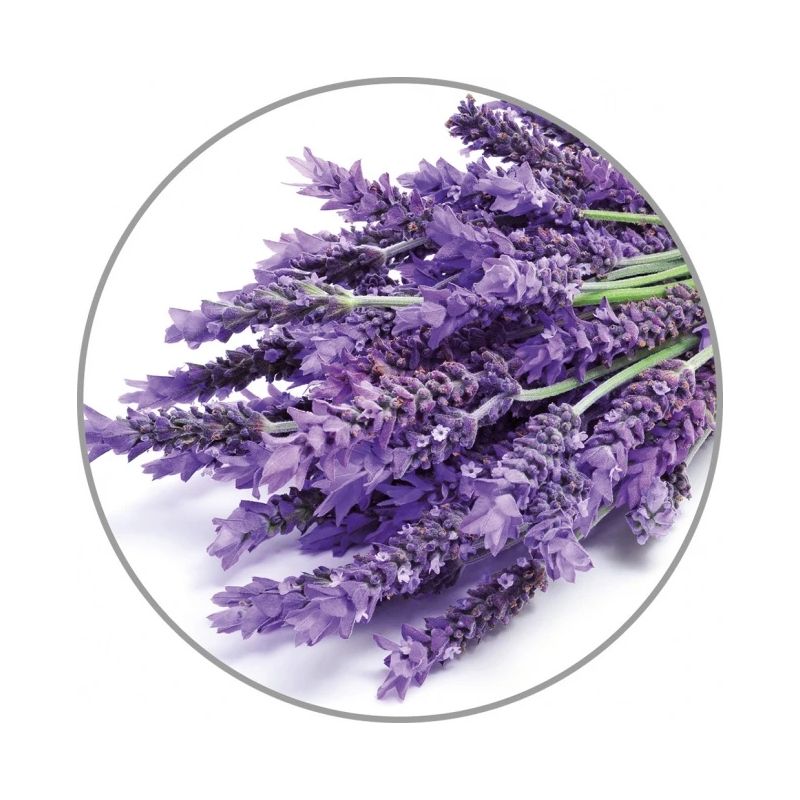 Medisana Aroma essence Lavender