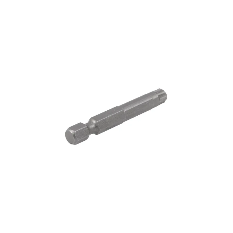 SPECIALIST+ antgalis TORX GRIP T40, 50mm, 2 vnt.