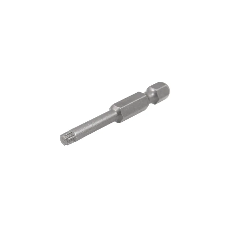 SPECIALIST+ uzgalis TORX GRIP T25, 50 mm, 2 gab.