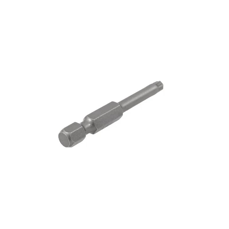 SPECIALIST+ uzgalis TORX GRIP T25, 50 mm, 2 gab.