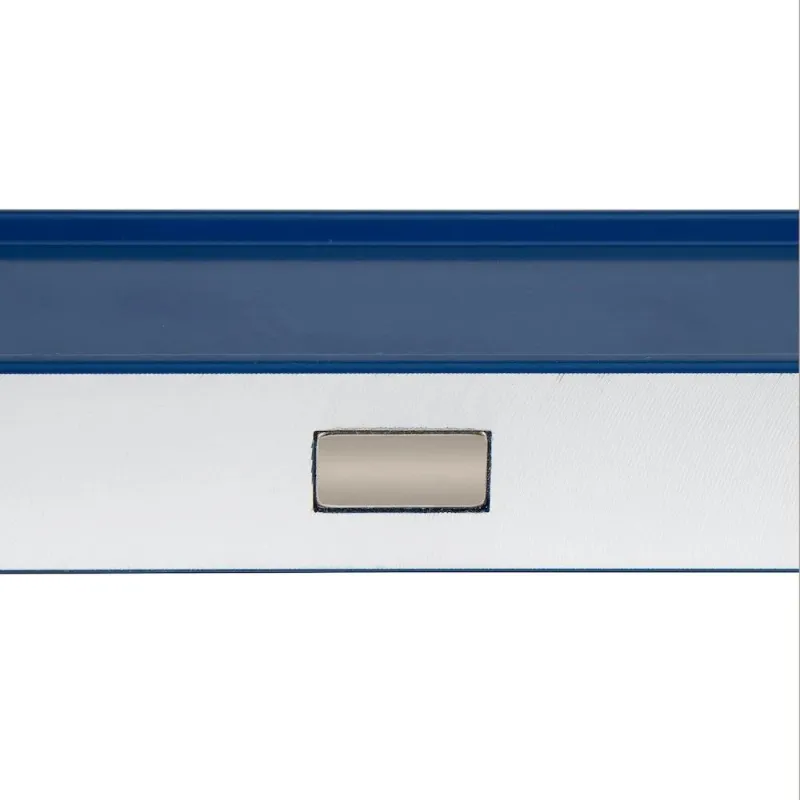 SPECIALIST+ līmeņrādis MAGNET, 60 cm