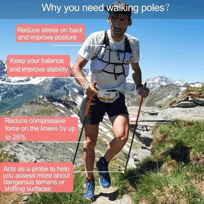 Teleskopiskās nūjošanas nūjas NECASIL DW072105 Purpurs 62 - 135 cm
