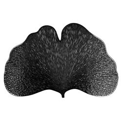 Paliktnītis domoletti 45x30cm meln