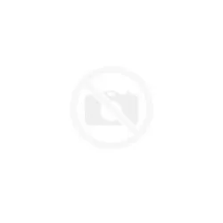 Tiller GT 40, Gudnord