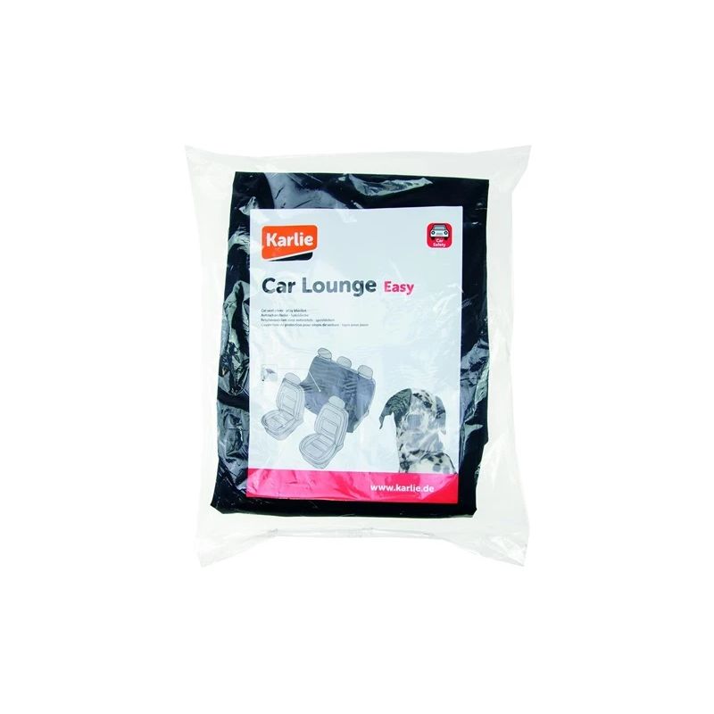 Car cover safe easy 162x132