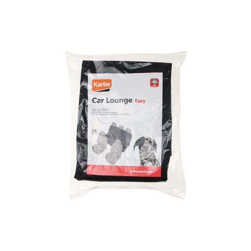 Car cover safe easy 162x132