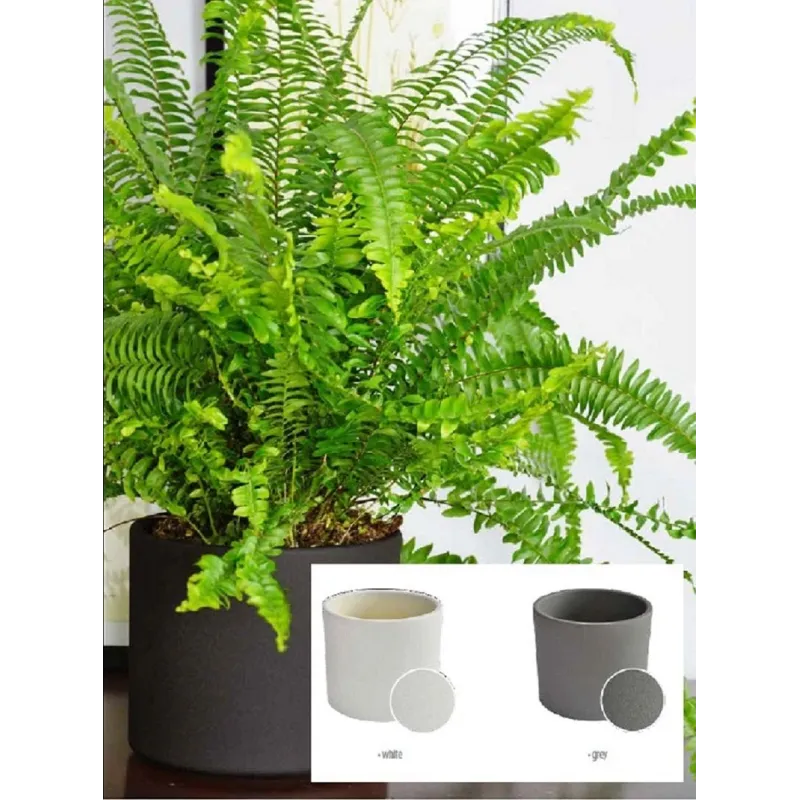 Цветочный горшок Domoletti, керамика, серый цв.