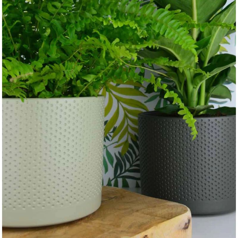 Lillepott Domoletti, keraamiline, valge v.-beež v.