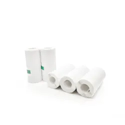 Easypix Thermal Sticker Rolls white for InstantFUN 5pcs 55601