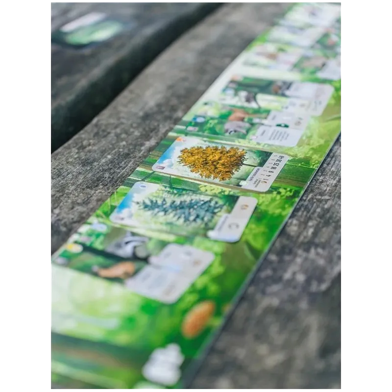 Galda spēle Brain Games Forest Shuffle. LT