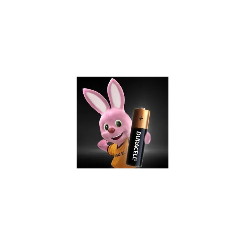 Baterijas duracell aa 10 gab.