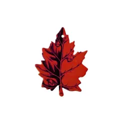 Gaisa atsvaidzinātājs auto strawberry