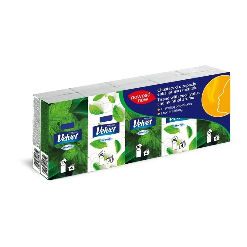 Salvetes papīra eucalyptus velv 24x10gab