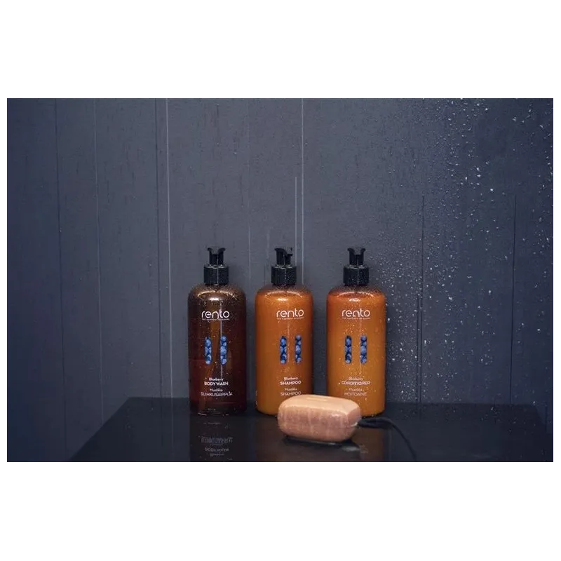 Mājas aromatizētājs Rento Arctic Pine. 400 ml