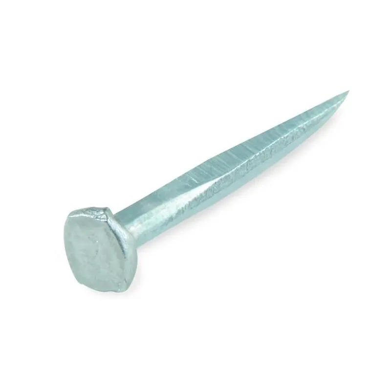 Grīdas nagliņas 14mm melnas 25gr ,suki,