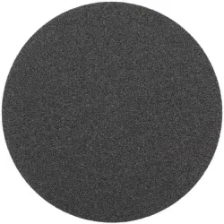 Ps19ek disc 200mm p80