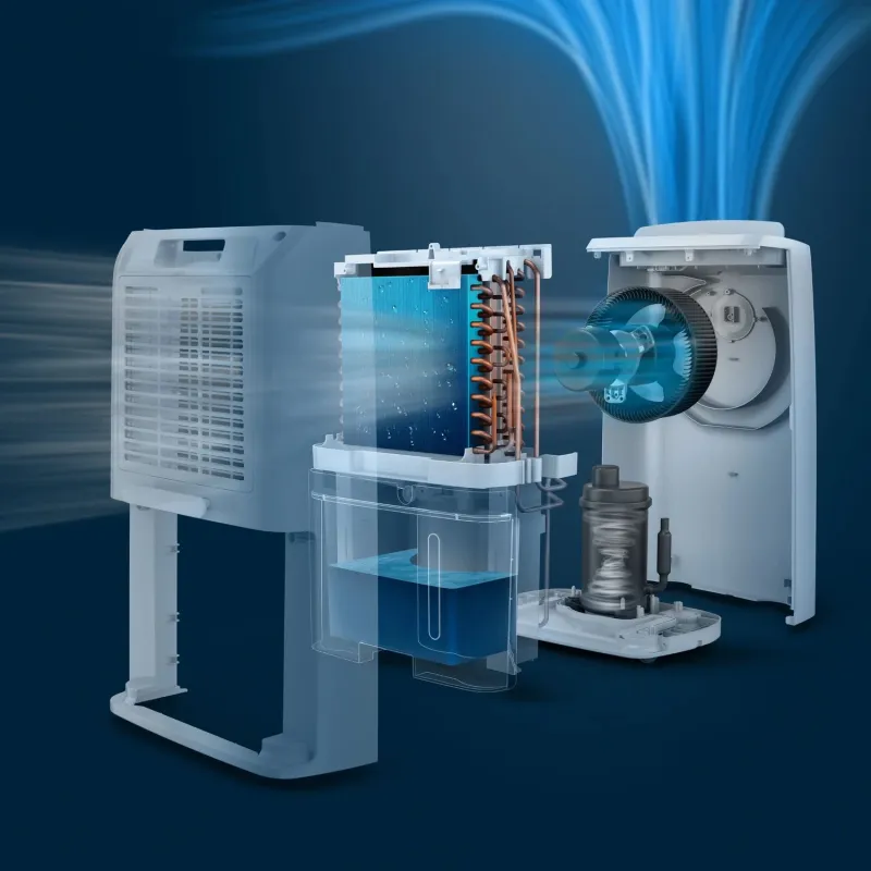 Gaisa sausinātājs Philips DE3306-11. 258 W