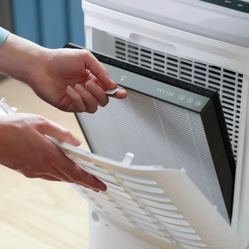 Gaisa sausinātājs Philips DE5305-11. 245 W