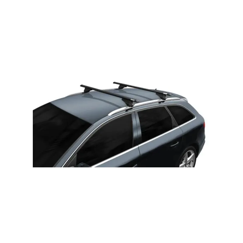 Automobiļa jumta reliņi tiger black