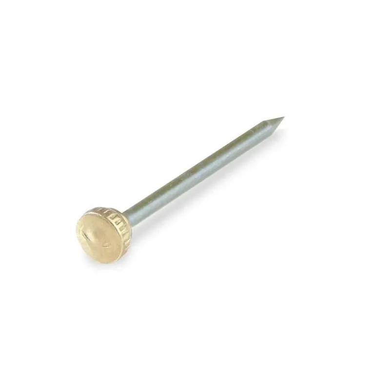 Statybinės vinys. 1.2 x 22 mm. 25 vnt.