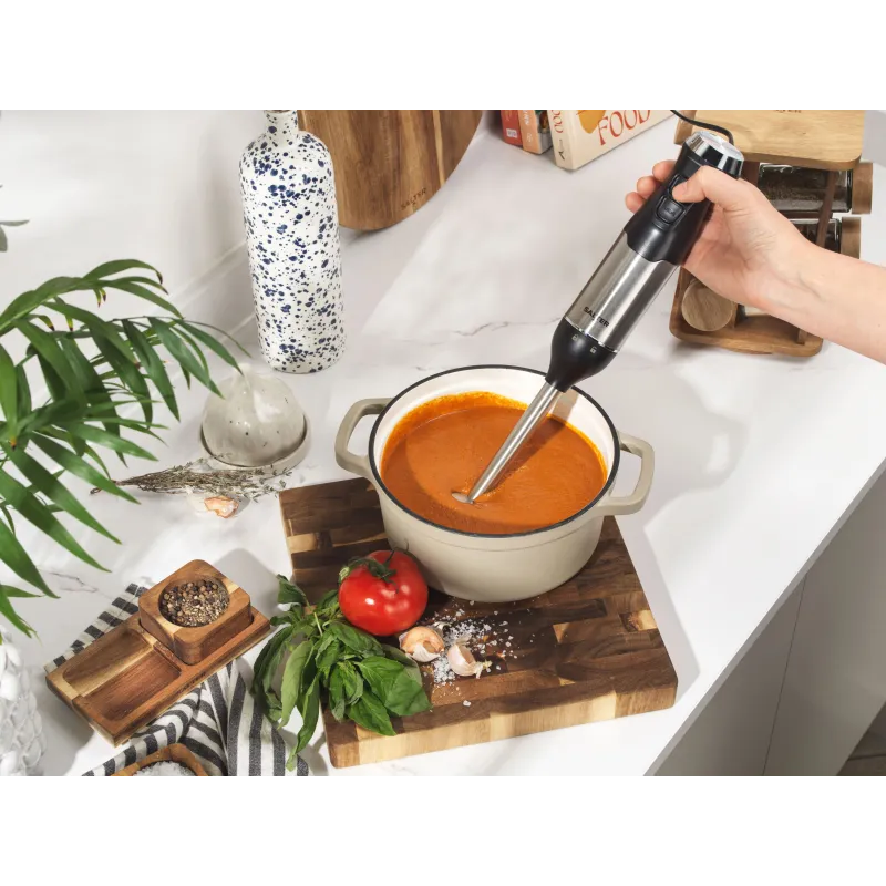 Salter EK6653VDE 4 in Blender Set