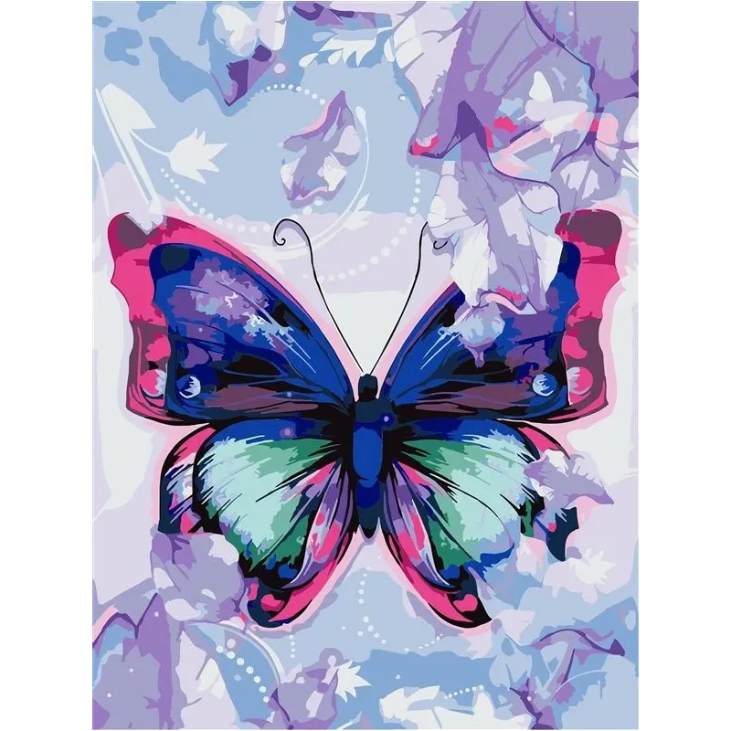 Glezna pēc numuriem Butterfly 80909