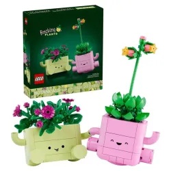 Konstr kompl rocking plants