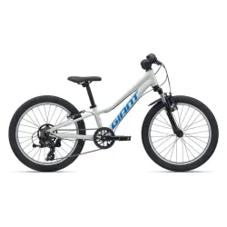 Bērnu velosipēds GIANT Talon 20, Snow Drift