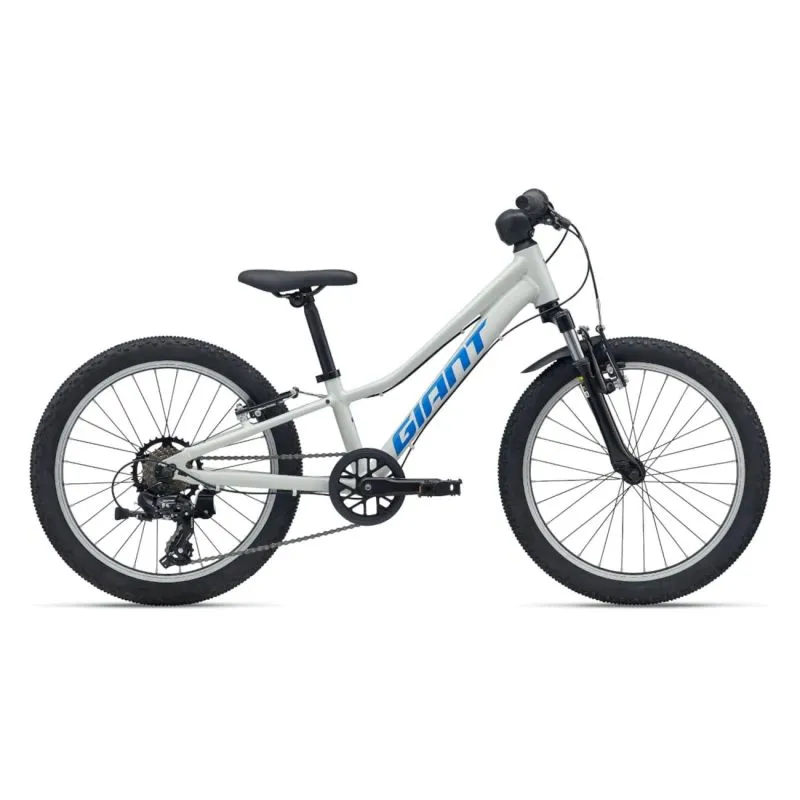 Bērnu velosipēds GIANT Talon 20, Snow Drift