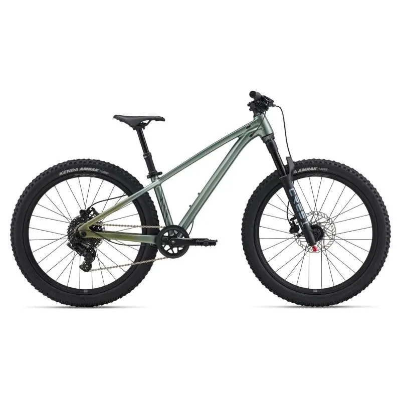 Bērnu velosipēds LIV STP 24, Alpu zaļš