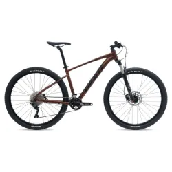 Velosipēds GIANT Talon 29 1 GE, Hematīts ,M,