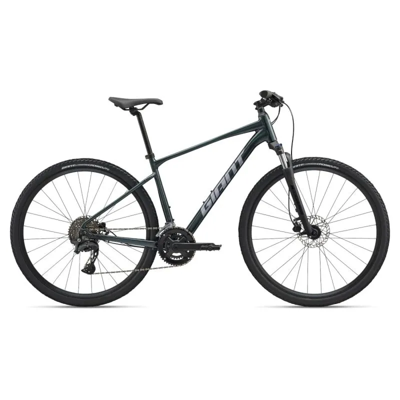 GIANT Roam 2 velosipēds, asfalta zaļš ,L,