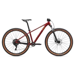 Naiste jalgratas LIV Tempt 2, 29 Mars Dust ,S,