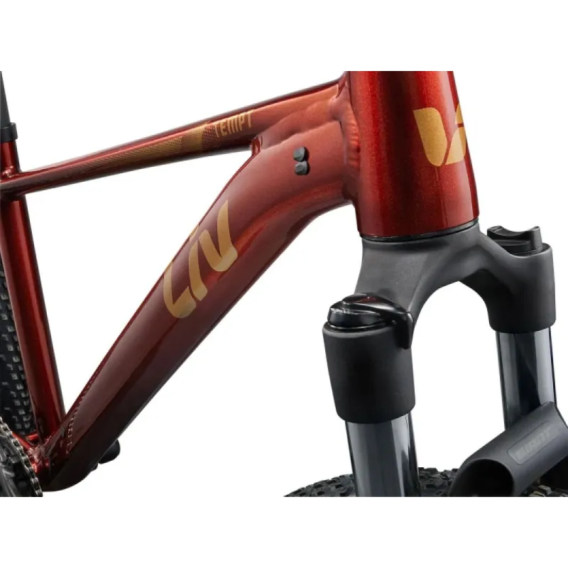 Naiste jalgratas LIV Tempt 2, 29 Mars Dust ,S,